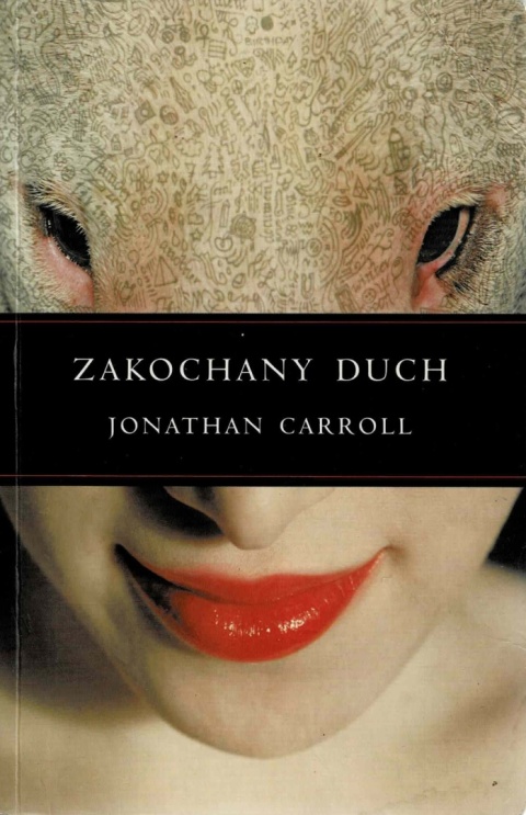 [ANTYKWARIAT] Zakochany duch - Jonathan Carroll